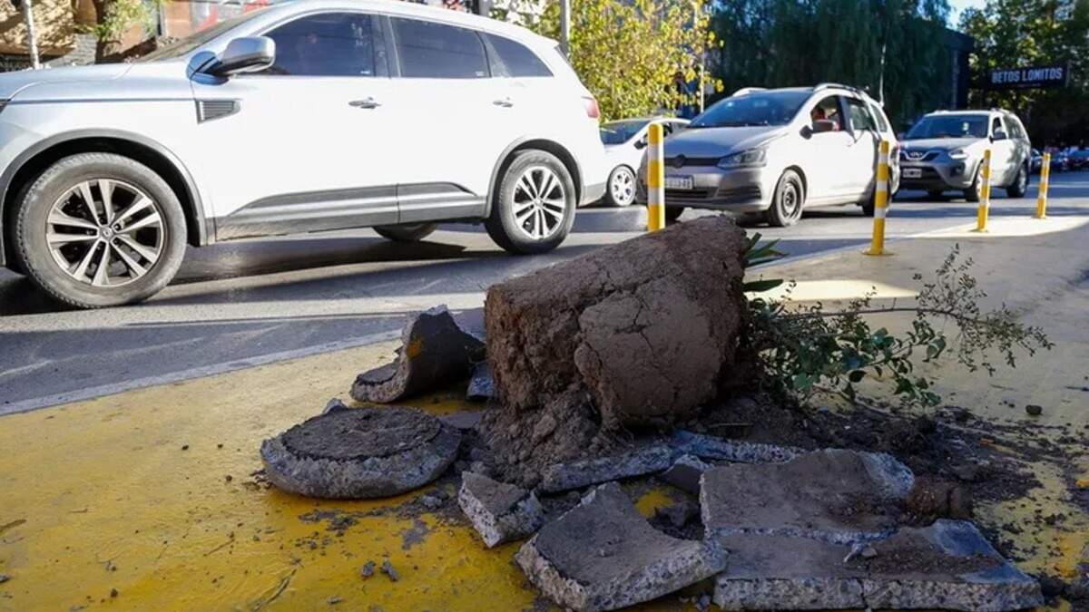 Macetas rotas en el centro. Fuente: (Omar Novoa)