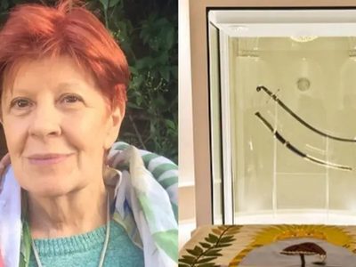 Renunció la directora del museo de donde sacarán el sable corvo de San Martín