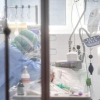 Río Negro suma 21 altas nuevas de coronavirus
