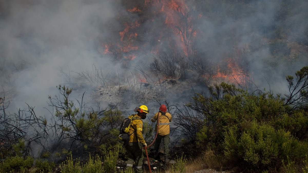 Incendios forestales. Fuente: (Twitter)
