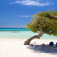 Brasil pierde terreno: cuál es la playa ideal que se convirtió en la nueva favorita de los argentinos