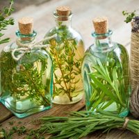 Las 2 plantas poderosas con las que tu cabello crecerá sin parar