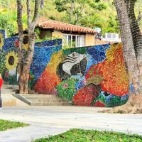 Murales ecológicos: la tendencia del arte que cuida la naturaleza
