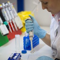 Argentina y México fabricarán la vacuna contra el coronavirus para toda Latinoamérica