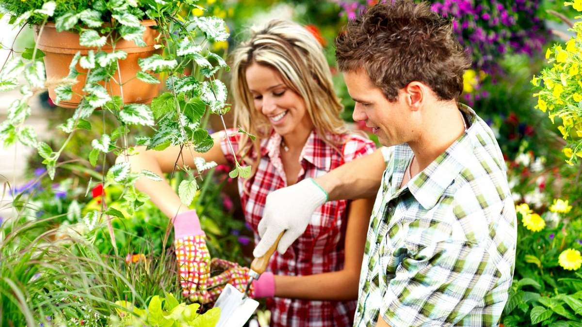 Jardinería en verano. Fuente: (Instagram)