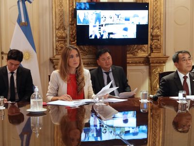 Coronavirus: el Gobierno analizó "medidas y estrategias" con funcionarios de Corea del Sur