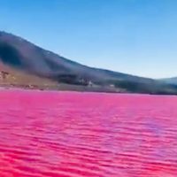 Causa conmoción video del río Nilo teñido de rojo... pero en realidad es otro lugar (Video)