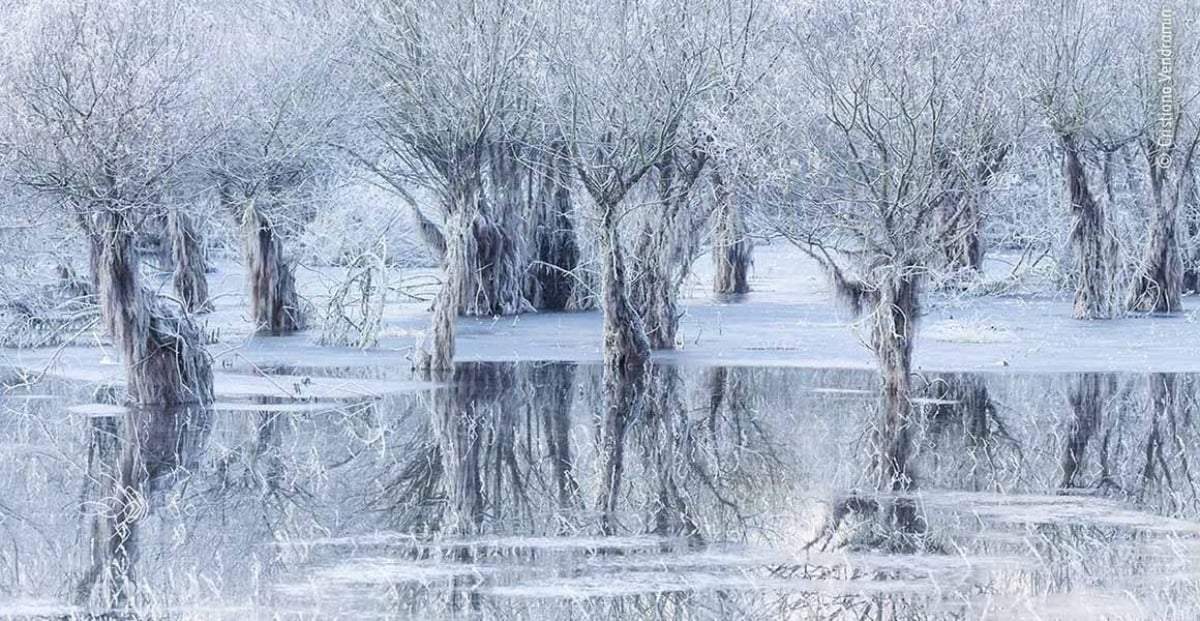 "Lago de hielo", del italiano Cristiano Vendramin