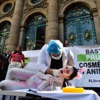 Avalan prisión de hasta siete años y multa a quien realice pruebas cosméticas en animales