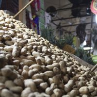 FDA aprueba primer fármaco que ayuda a reducir reacciones alérgicas a alimentos como el cacahuate