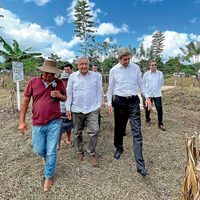 Frágiles, los pilares del desarrollo social