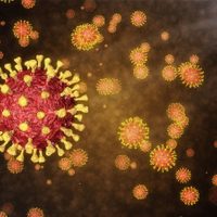Coronavirus: Neuquén confirmó 16 nuevos casos positivos