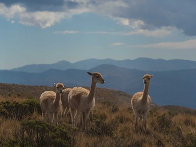 Matías Lammens destacó el rol del turismo en la reactivación de la economía