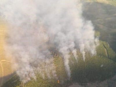 El calor y el viento descontrolaron por completo el incendio forestal en El Bolsón