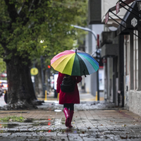 Las precauciones a tener en cuenta por alerta amarilla con fuertes vientos
