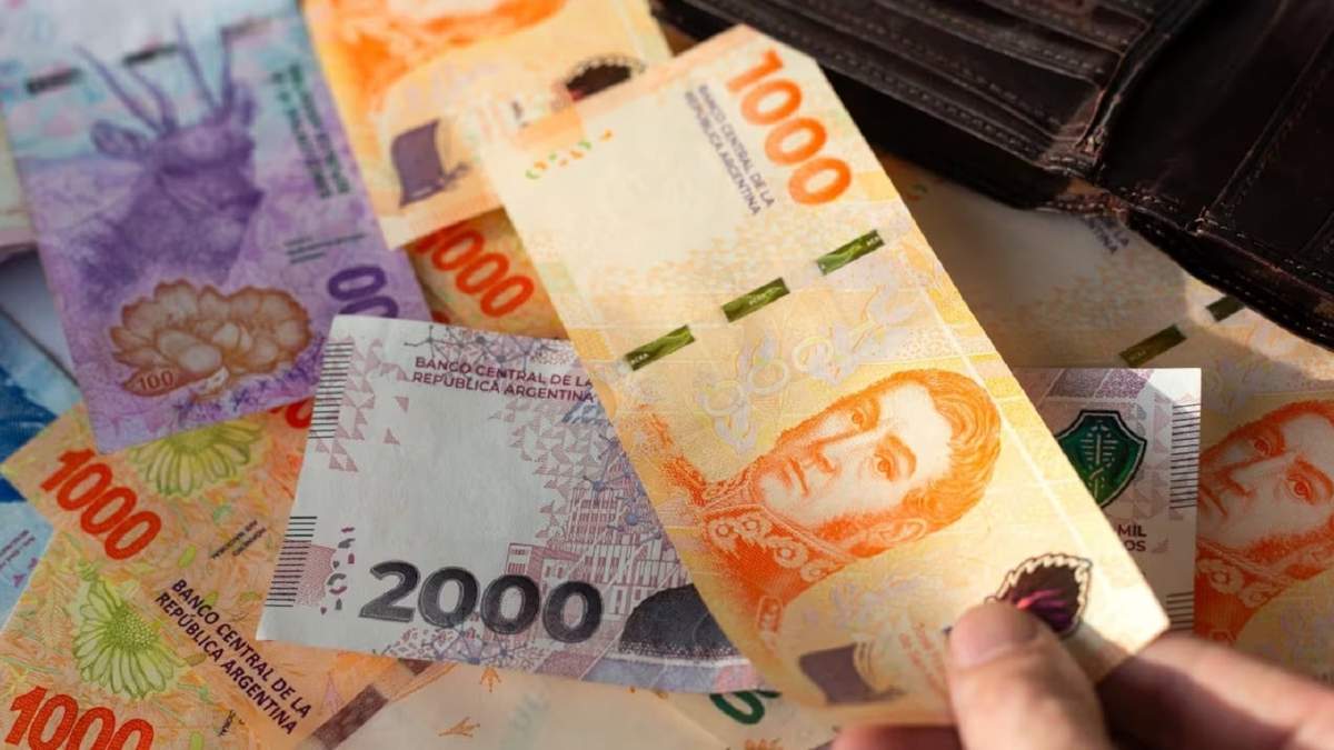 Pesos argentinos. Fuente: (Instagram)