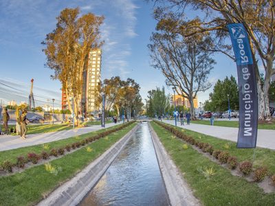 General Roca será sede del Primer Festival de la Sidra: conocé las principales actividades