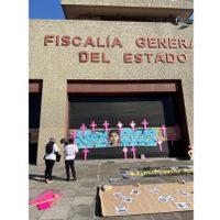 Amnistía Internacional exige a FGJEM disculpa pública a víctimas de feminicidio