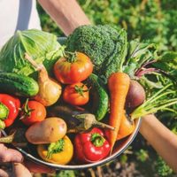 Crece la tendencia de una gastronomía más sustentable