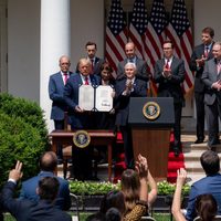 El muro nos está evitando mucha angustia y dolor: Trump