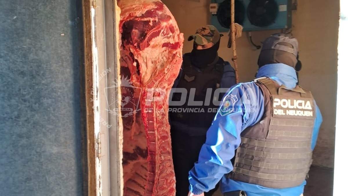 La Policía inspeccionó la cámara de frío que no reunía las condiciones necesarias. Fuente (Policía de Neuquén)