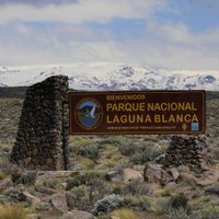 Por el momento, el Parque Nacional Laguna Blanca continúa cerrado para los visitantes