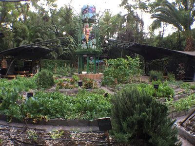 Roma Verde: actividades y voluntarismo