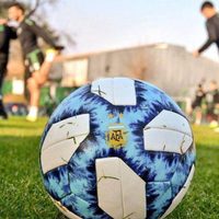 La AFA quiere que la Selección de fútbol argentina juegue con hinchas: cómo será el protocolo