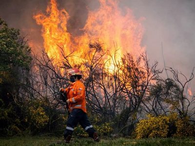 Alarma por gran incendio en San Martín de los Andes