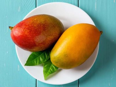 Tené tu propia planta de mango con este sencillo truco: secretos y cuidados básicos para no fallar en el intento