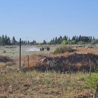 Tragedia en Cutral Co: cayó una avioneta y hay dos víctimas fatales