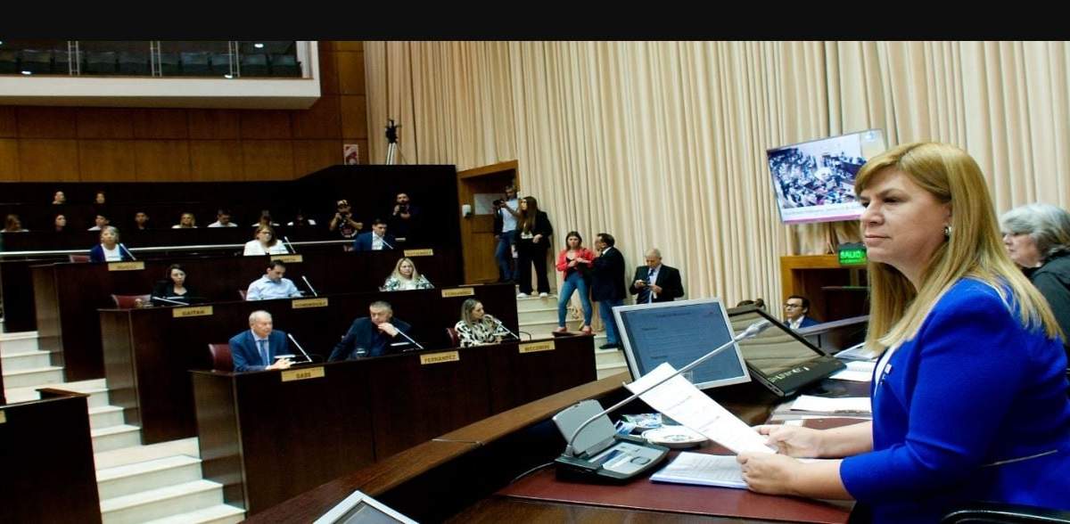Los legisladores convirtieron en ley los aumentos en el Código Fiscal que solicitó Figueroa. Fuente: (Legislatura Neuquén)