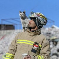 Enkaz, el gato que se niega a separarse del hombre que lo rescató de los escombros en Turquía