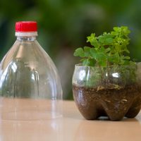 No tires las botellas plásticas: mirá cómo aprovecharlas en tu huerta y ahorrar el máximo espacio