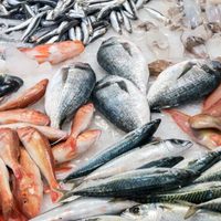 Ayuda social: realizarán un “pescadazo” frente al Congreso