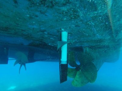EU emite alerta tras estallido en ferry en Playa del Carmen; fue por 'artefacto explosivo”, dice