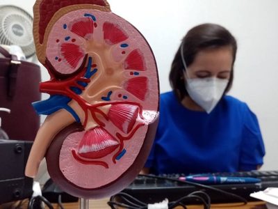 La enfermedad renal crónica será la quinta causa de muerte en el mundo