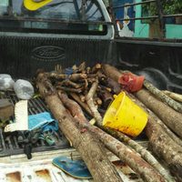 Comando embosca a una familia en la Sierra de Guerrero y mata a cuatro campesinos