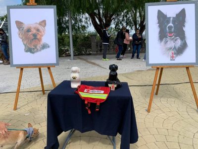 La Suprema Corte da vía libre para que reduzcan la condena a asesino de perros rescatistas