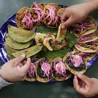 "La Riviera del Sur": Yucatán en la Roma