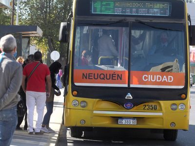 Autobuses Neuquén recibió millonaria cifra del municipio