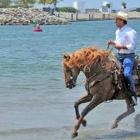Roberto Sandoval: Crónica de un enriquecimiento delirante