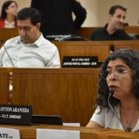 Priscila Ottón: “Está clara la connivencia entre las iglesias y el estado municipal”