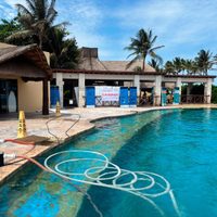 Clausura definitiva y multa millonaria al delfinario del hotel Barceló en la Riviera Maya (Video)