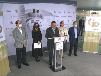 Grupo Plural no pretende "quitarle nada a nadie de lo que le corresponde"