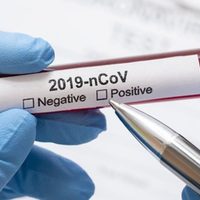 Aumentan los infectados: Chubut confirmó un nuevo caso de coronavirus