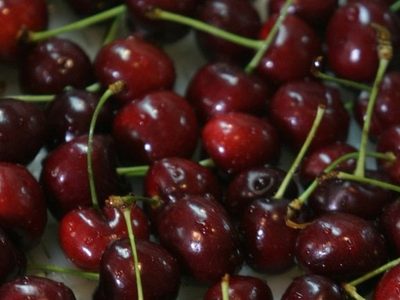 Una buena: la exportación de cerezas de la provincia de Neuquén superó las 900 toneladas
