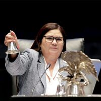 IEES sanciona a la senadora Imelda Castro por incurrir en promoción personalizada