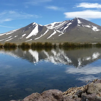 El Tromen: un viaje al corazón del norte neuquino entre volcanes, lagunas y aves
