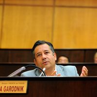 Neuquén: un diputado provincial presentó un proyecto para modificar el régimen de Coparticipación
